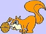Jouer à Squirrel and walnuts coloring