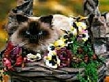 Jouer à Cat among the flowers puzzle