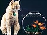 Jouer à Domestic cat and fishes puzzle