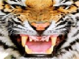 Jouer à Royal bengal tiger