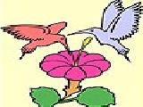 Jouer à Two hummingbird coloring