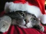Jouer à Christmas cat sliding