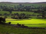 Jouer à Jigsaw: yorkshire countryside