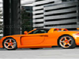 Jouer à Carrera gt