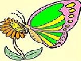 Jouer à Little butterfly coloring