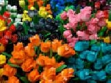 Jouer à Jigsaw: amsterdam tulips