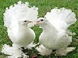Jouer à Scrappy white doves puzzle