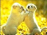 Jouer à Scrappy dogs puzzle