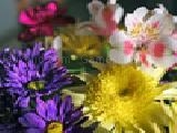 Jouer à Jigsaw: mood flowers