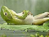 Jouer à Lazy frog puzzle