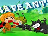 Jouer à Save the ants