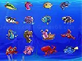 Jouer à Marine life picture matching