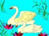 Jouer à Kid's coloring: two swans