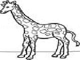 Jouer à Giraffes -1