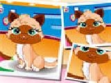 Jouer à Pet hairstyle design