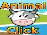 Jouer à Animal click