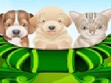 Jouer à Puppy and kitten caring game