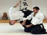 Jouer à Aikido fight
