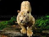 Jouer à Tigers puzzles