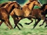 Jouer à Horses jigsaw