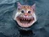 Jouer à Cat fish jigsaw