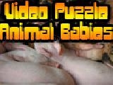 Jouer à Video puzzle: animal babies
