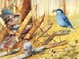 Jouer à Art painting bird sliding puzzle