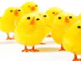 Jouer à Easter jigsaw puzzle