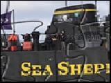 Jouer à Picture changing jigsaw - seashepherd.org