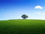 Jouer à Tree landscape jigsaw