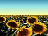Jouer à Sunflowers jigsaw