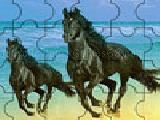 Jouer à Black horses jigsaw puzzle