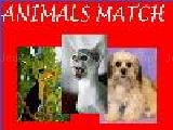 Jouer à Animals match