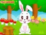Jouer à Cute bunny
