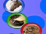 Jouer à Animal rotospheres