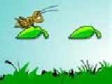 Jouer à Leaf hopper