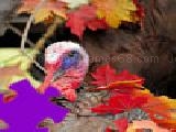 Jouer à Turkey jigsaw