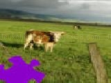 Jouer à Pasture jigsaw