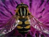 Jouer à European honey bee jigsaw