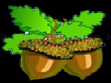 Jouer à Fight for acorns