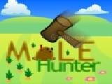 Jouer à Mole hunter