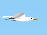 Jouer à Seagull flight