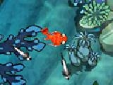 Jouer à Zippy fish