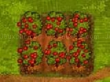 Jouer à Fruits inc.