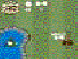 Jouer à Dog game