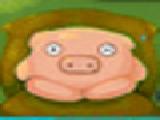 Jouer à Pigdreams