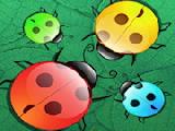 Jouer à Beetles