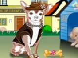 Jouer à Little chihuahua dress up