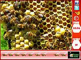 Jouer à Honeycomb - hidden bees