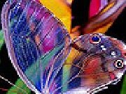 Jouer à Cute colorful butterfly puzzle